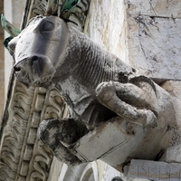 Photo de Italie - Pise, perle de la Toscane